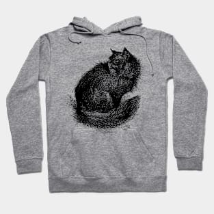 A Gentle Fuzzy Cat Hoodie